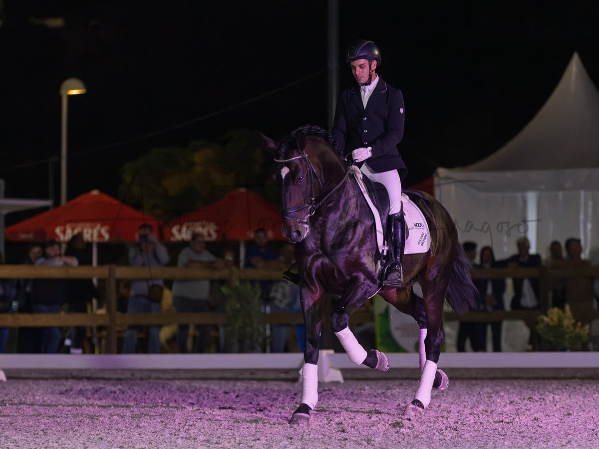 Horse Riding School - Dressage Single