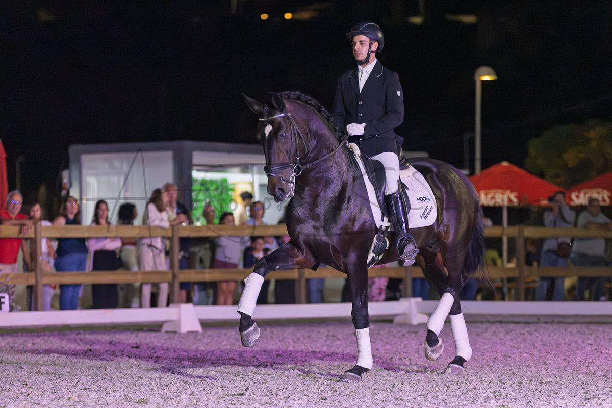 Horse Riding School - Dressage Single