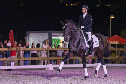Horse Riding School - Dressage Single