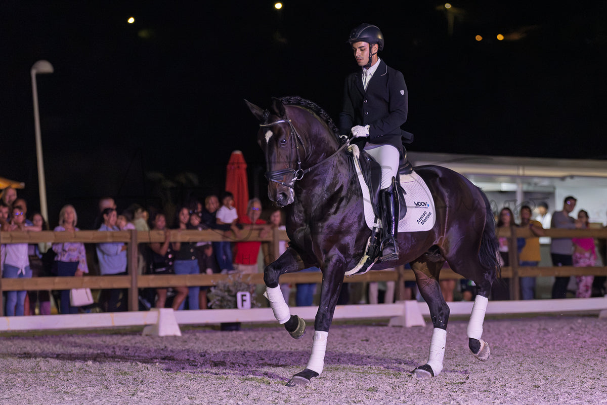Horse Riding School - Dressage Single