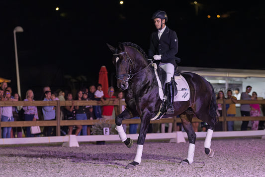 Horse Riding School - Dressage Single
