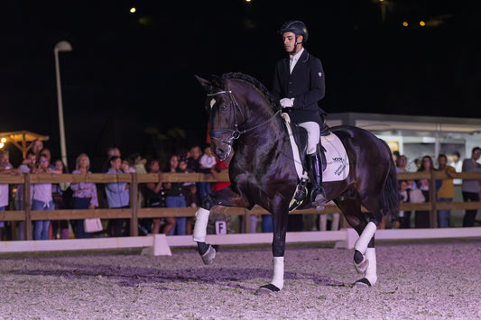 Horse Riding School - Dressage Single