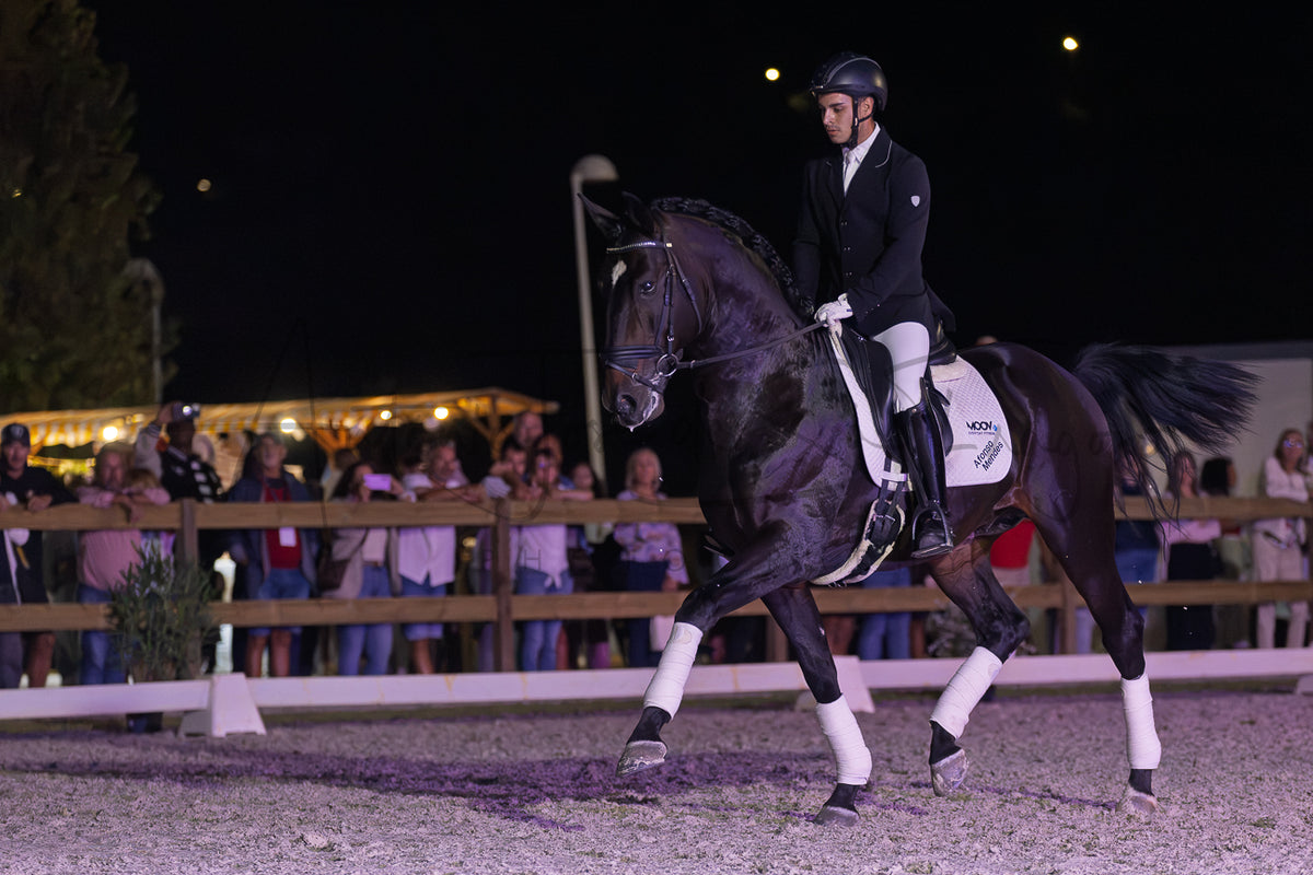 Horse Riding School - Dressage Single