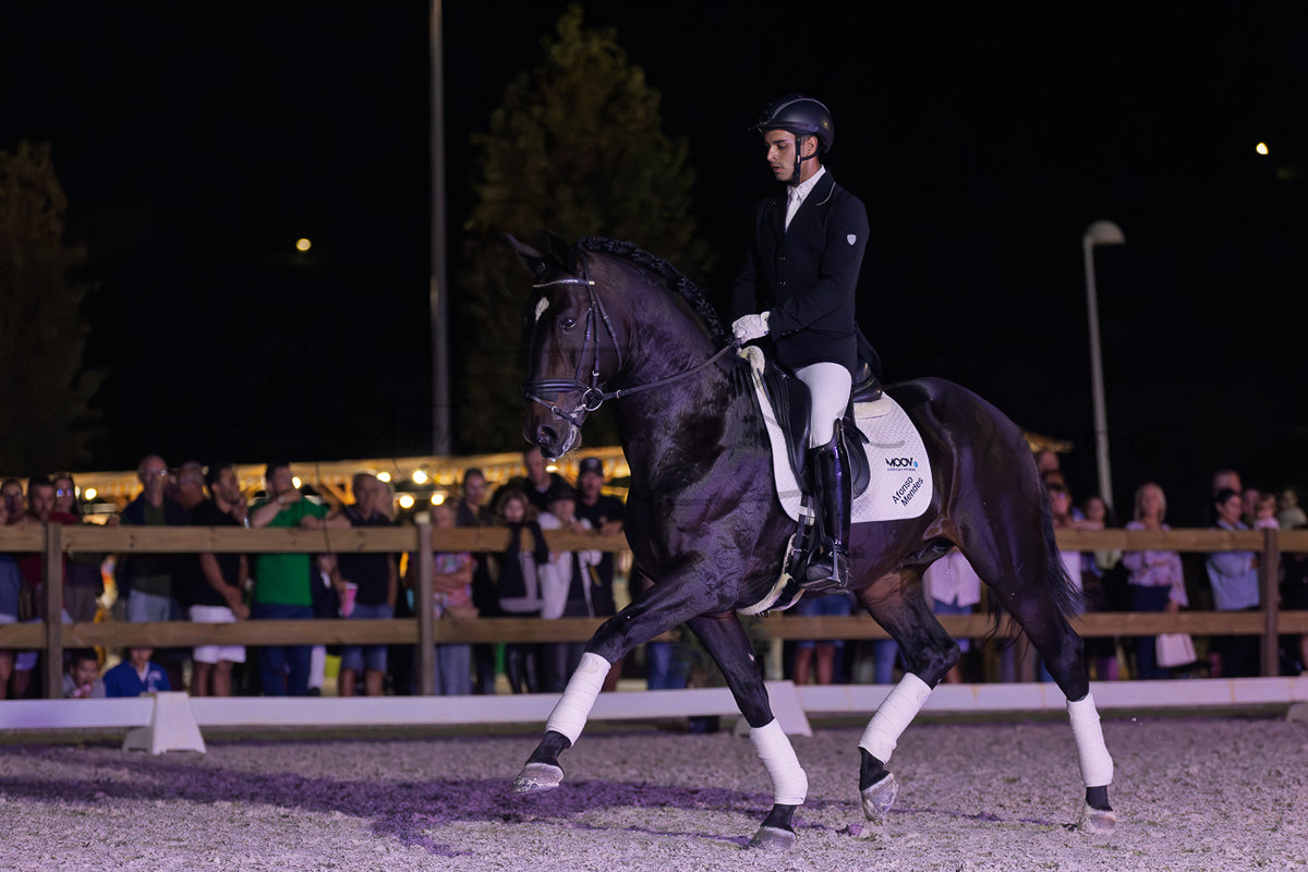 Horse Riding School - Dressage Single