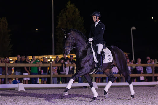 Horse Riding School - Dressage Single