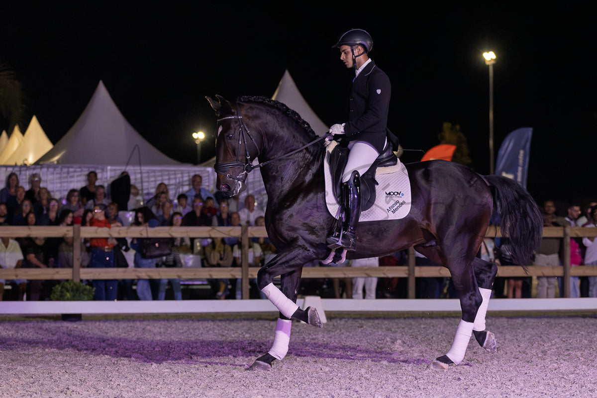 Horse Riding School - Dressage Single