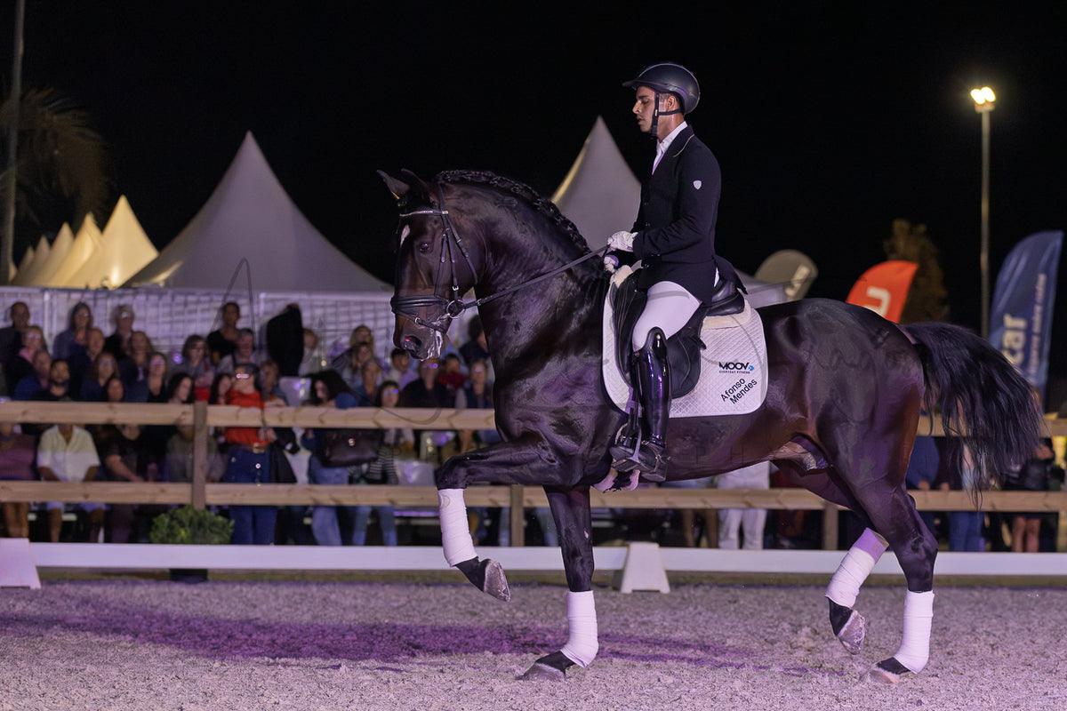Horse Riding School - Dressage Single