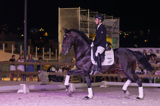 Horse Riding School - Dressage Single