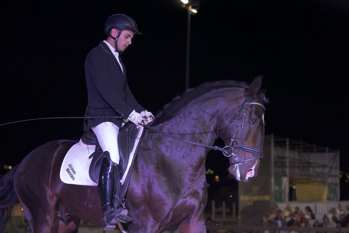 A person in equestrian attire rides a dark horse at night in an outdoor arena, with stadium lights and a crowd visible in the background.