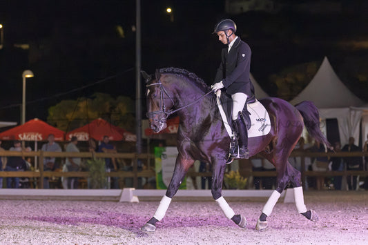Horse Riding School - Dressage Single