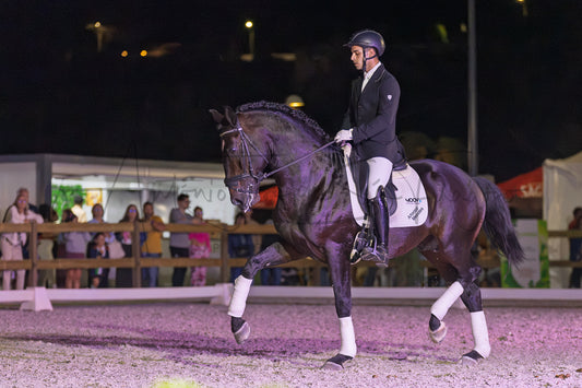 A dark horse with white leg wraps is being ridden by a person in formal equestrian attire inside an outdoor arena at night, with spectators visible in the background.