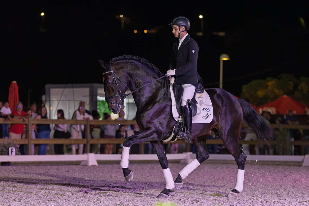Horse Riding School - Dressage Single