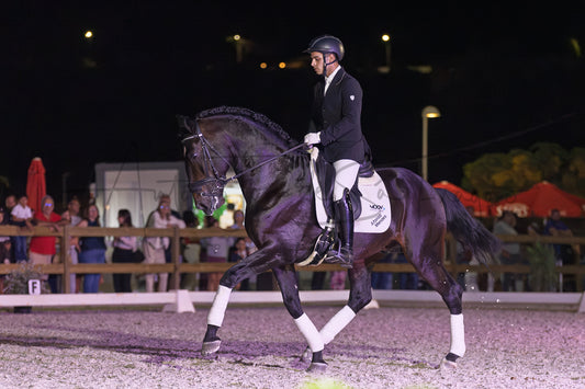 Horse Riding School - Dressage Single