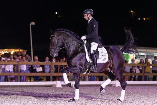 A rider in formal equestrian attire rides a dark horse in an outdoor arena at night, with spectators visible behind a fence in the background.