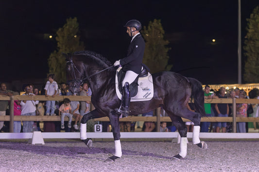 A black horse with white leg wraps is being ridden by a person in formal equestrian attire inside an outdoor arena at night, with spectators visible behind a fence in the background.