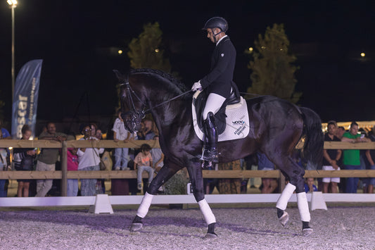 Horse Riding School - Dressage Single
