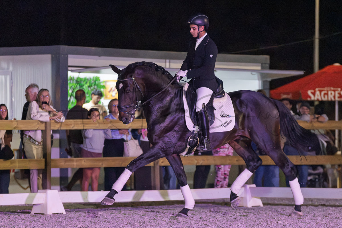 A dark horse with white leg wraps is being ridden by a person in formal equestrian attire inside an outdoor riding arena at night, with spectators and event structures visible in the background.