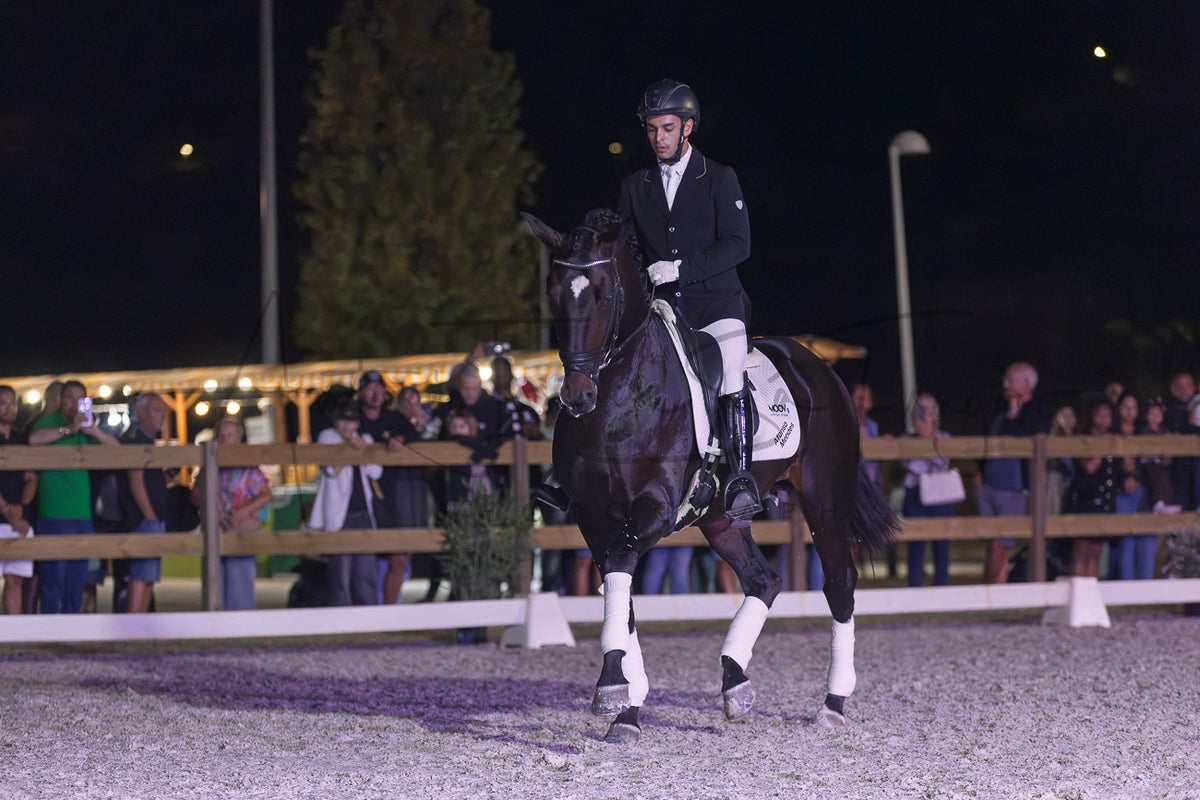 Horse Riding School - Dressage Single