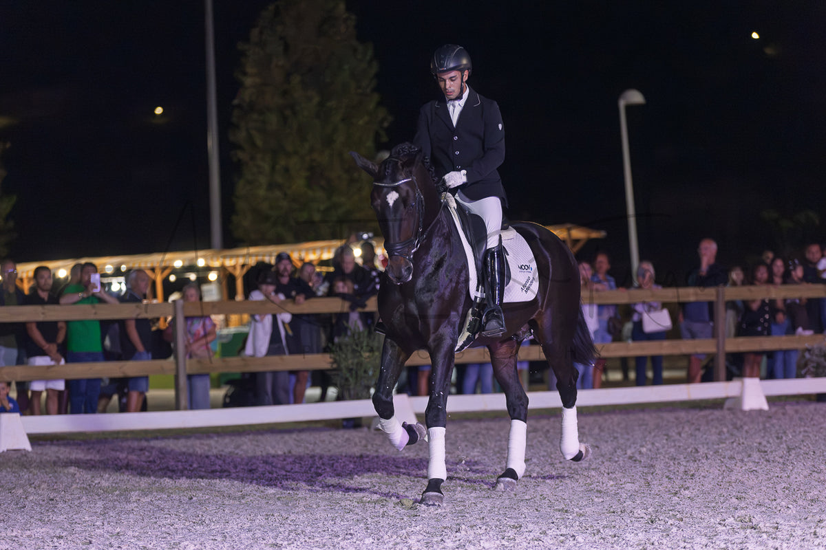 Horse Riding School - Dressage Single