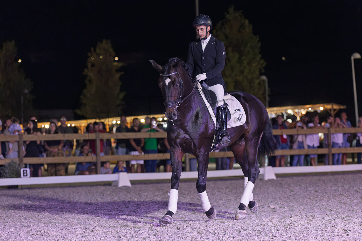 Horse Riding School - Dressage Single