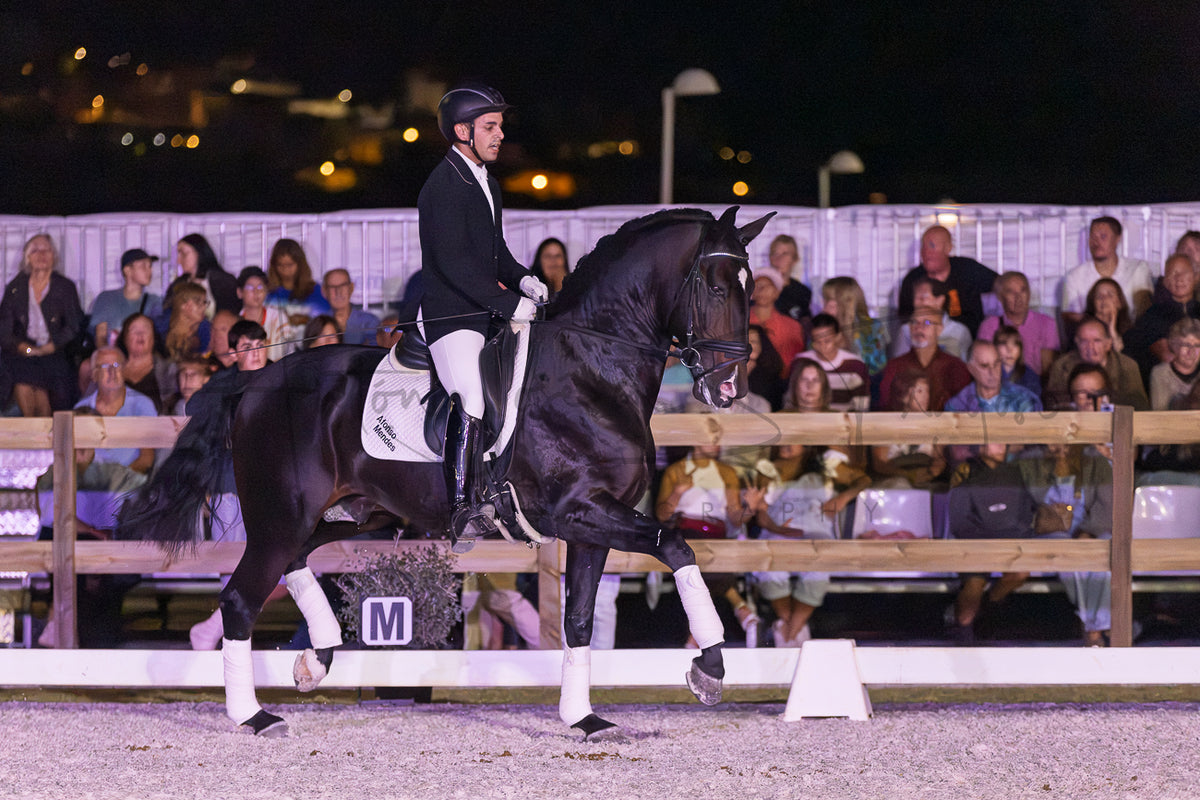 A black horse with white leg wraps is being ridden by a person in formal equestrian attire inside an outdoor arena at night, with a crowd of spectators visible behind a fence.