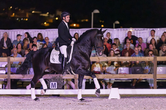 A black horse with white leg wraps is being ridden by a person in formal equestrian attire inside an outdoor arena at night, with a crowd of spectators visible behind a fence.
