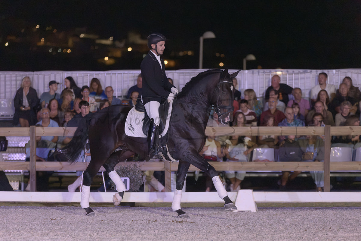Horse Riding School - Dressage Single