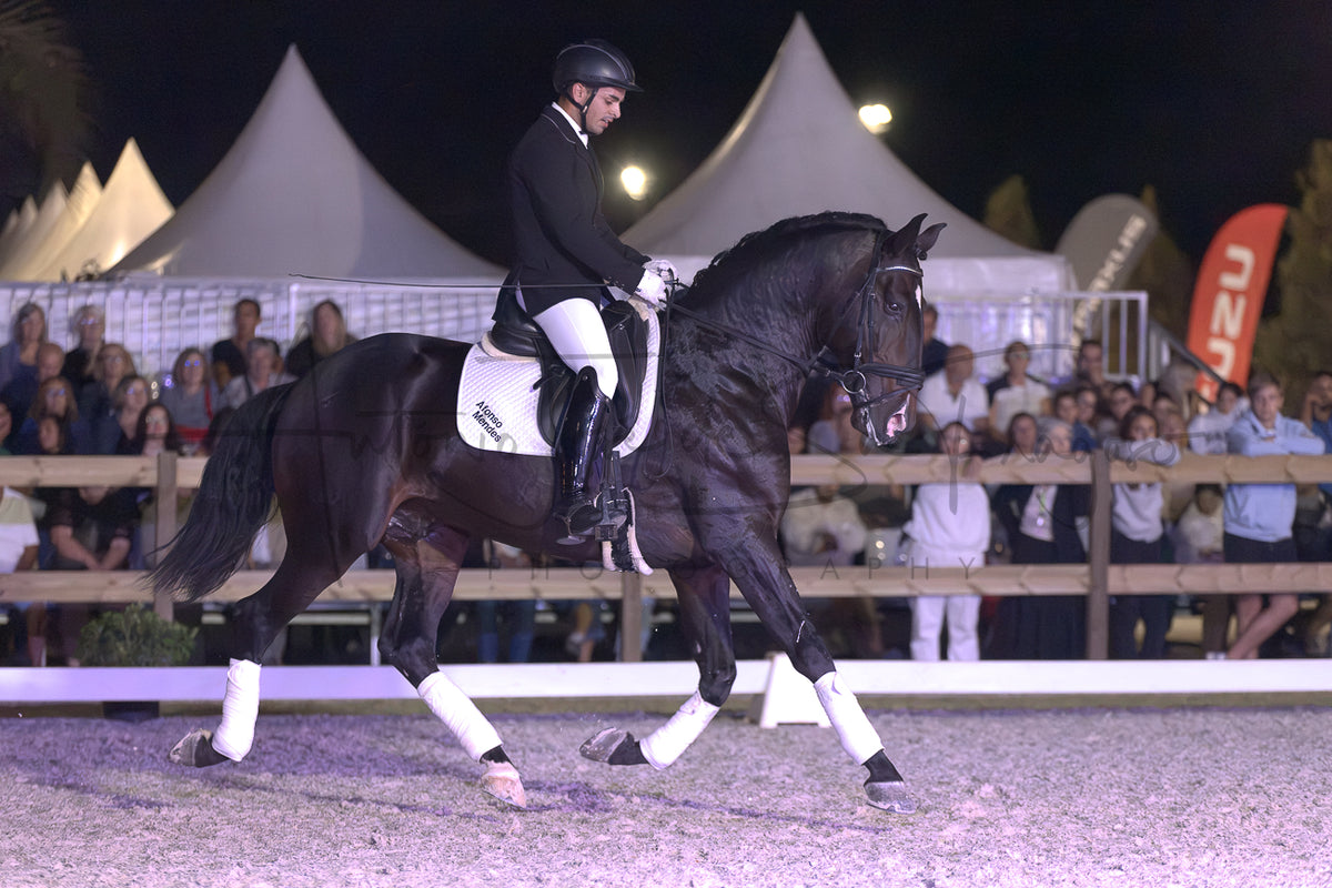 Horse Riding School - Dressage Single