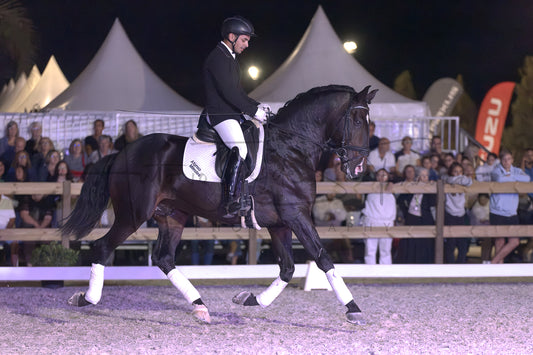 Horse Riding School - Dressage Single