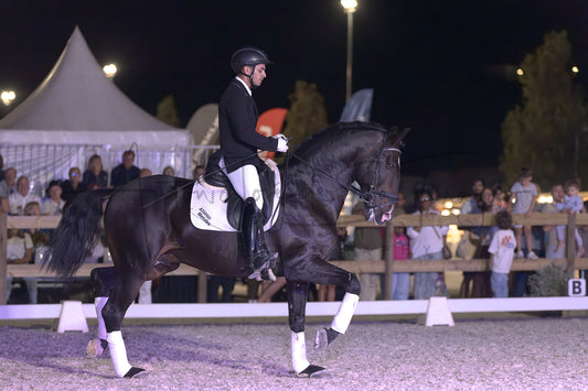 A rider in formal equestrian attire sits atop a dark horse during a night competition in an outdoor arena, with spectators and event tents visible in the background.