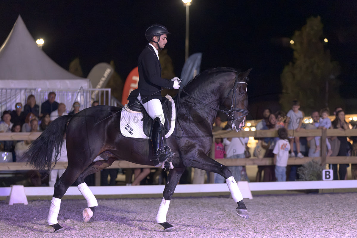 Horse Riding School - Dressage Single