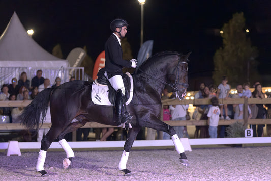 Horse Riding School - Dressage Single