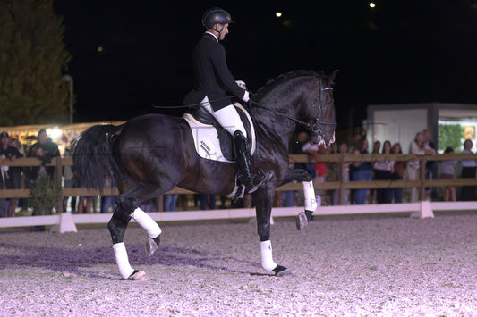 Horse Riding School - Dressage Single