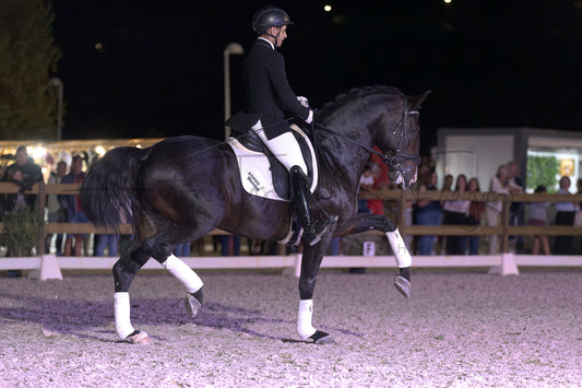 Horse Riding School - Dressage Single