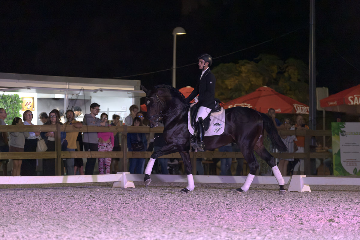 Horse Riding School - Dressage Single