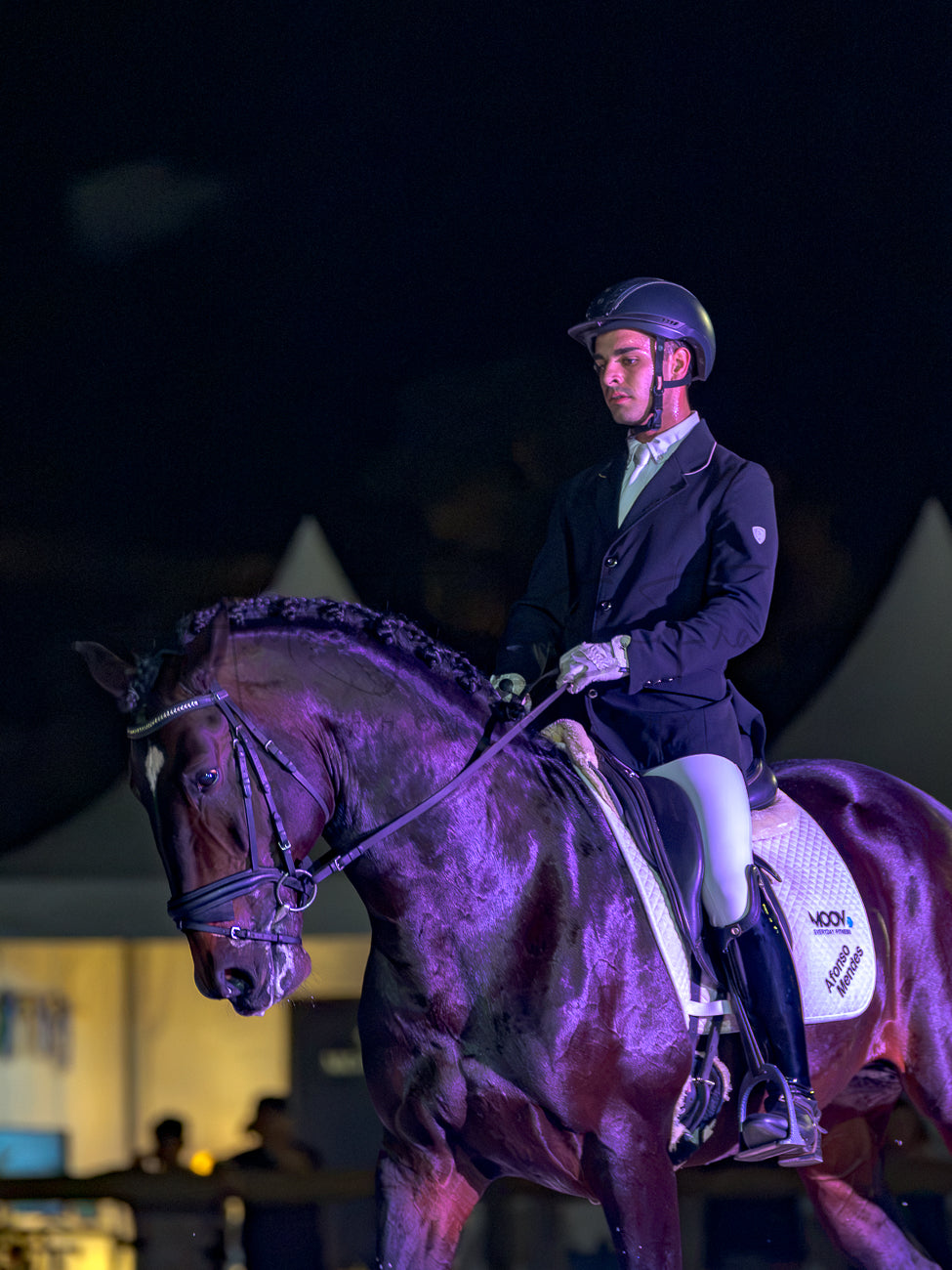 Horse Riding School - Dressage Single