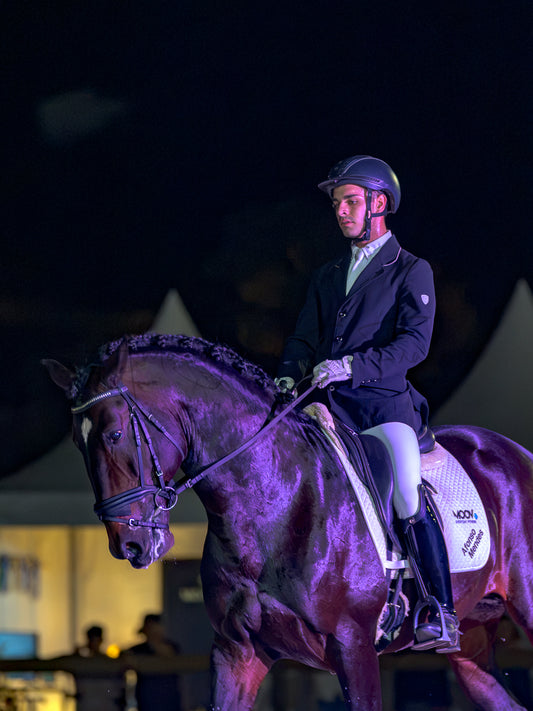 Horse Riding School - Dressage Single