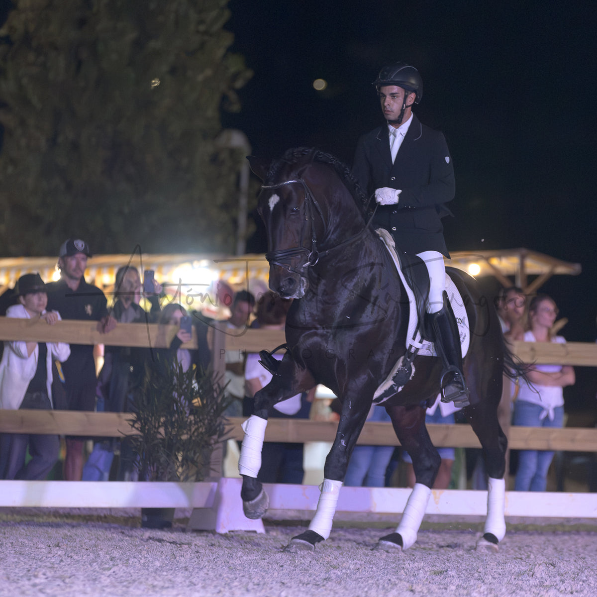 Horse Riding School - Dressage Single