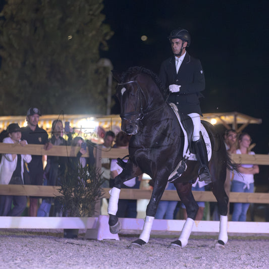 Horse Riding School - Dressage Single