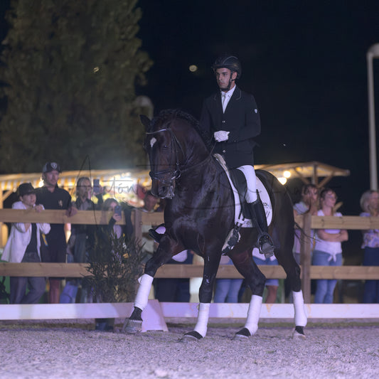 Horse Riding School - Dressage Single