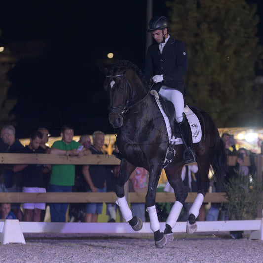Horse Riding School - Dressage Single