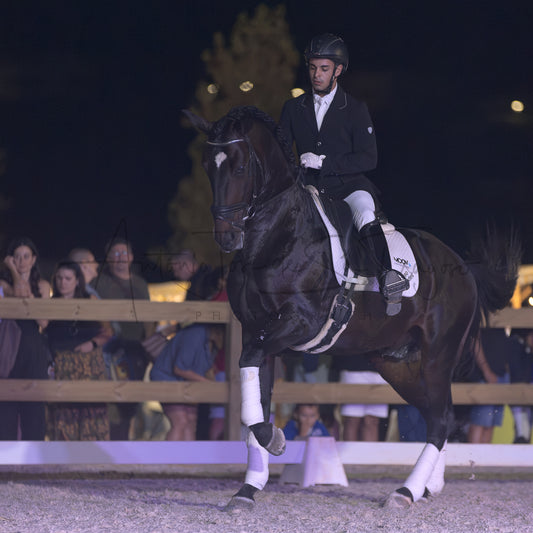 A dark horse with white leg wraps is being ridden by a person in formal equestrian attire inside an outdoor arena at night, with spectators visible behind a fence in the background.