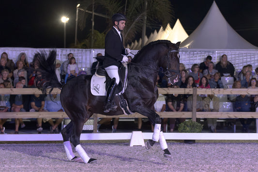 A black horse with white leg wraps is being ridden by a person in formal equestrian attire inside an outdoor arena at night, with spectators seated behind a fence and a tent in the background.