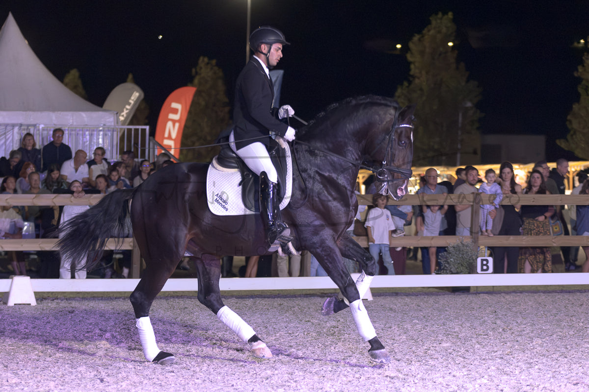 Horse Riding School - Dressage Single