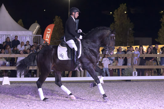 Horse Riding School - Dressage Single