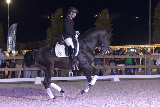 Horse Riding School - Dressage Single