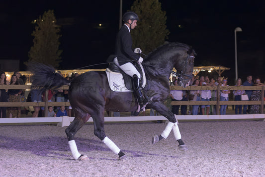 Horse Riding School - Dressage Single