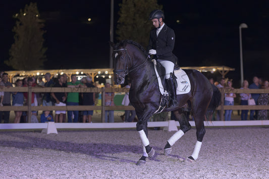 Horse Riding School - Dressage Single