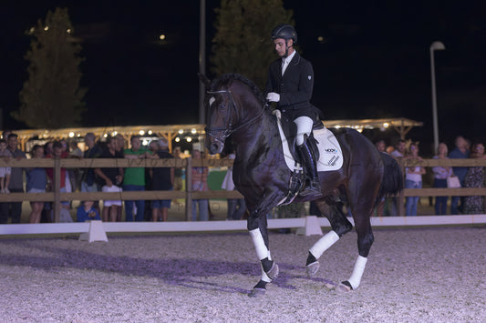 Horse Riding School - Dressage Single