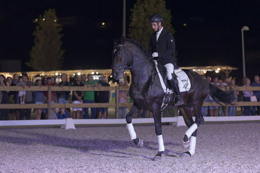 Horse Riding School - Dressage Single